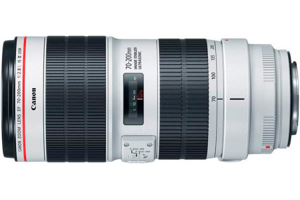 Canon 70-200 f 2.8