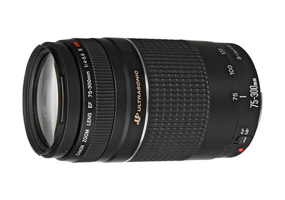 CANON EF 75-300mm f/4-5.6